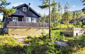 Beautiful home in Vrådal with Jacuzzi, WiFi and 5 Bedrooms #399 Vrådal